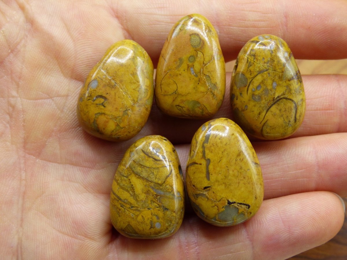 Versteinerte Koralle ~ Fossil Edelstein Kette braun punkte ~HIPPIE ~GOA ~Boho ~Ethno ~Nature ~Heilstein b - Art of Nature Berlin