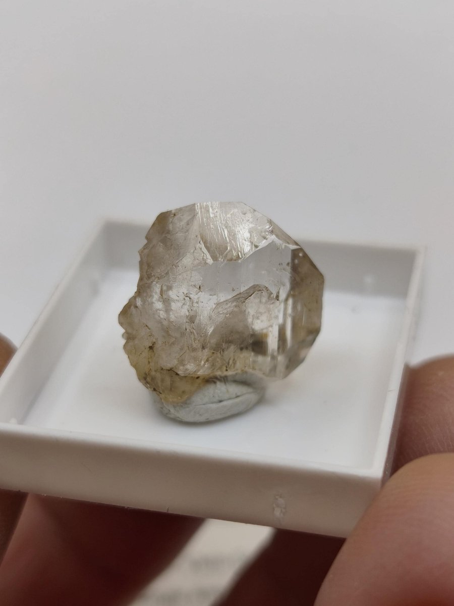 12ct Phenakit Kristall aus Namibia | Stiepelmann Mine Erongo | Klarer natürlicher Rohkristall | Seltenes Sammler Mineral Heilstein Rarität - Art of Nature Berlin