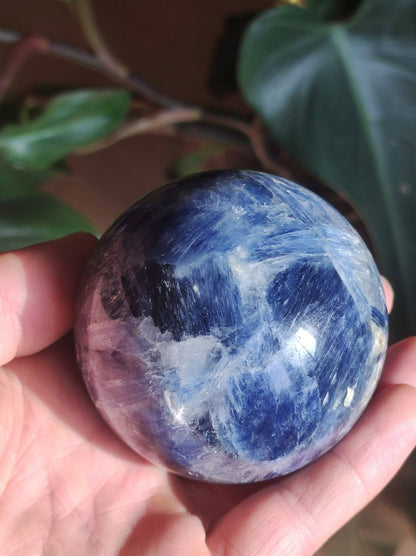 65mm Cyanit Kyanit Disthen Sapparit blau AAA Edelstein Kugel Deko Sphere Sammler Mineral Stufe Heilstein Wohn Natur Qualität Selten Rarität - Art of Nature Berlin