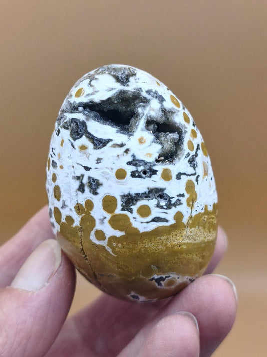 8 Adern Ocean Jaspis Orbicular gelb weiß - Edelstein Ei Kugel Natur Heilstein Deko Crystal Geschenk Er Sie Mann Frau Haus Wohnen Selten - Art of Nature Berlin