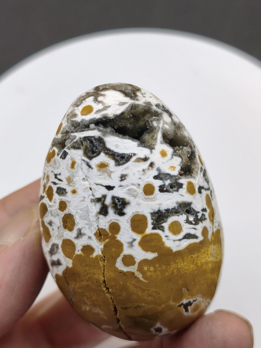 8 Adern Ocean Jaspis Orbicular gelb weiß - Edelstein Ei Kugel Natur Heilstein Deko Crystal Geschenk Er Sie Mann Frau Haus Wohnen Selten - Art of Nature Berlin