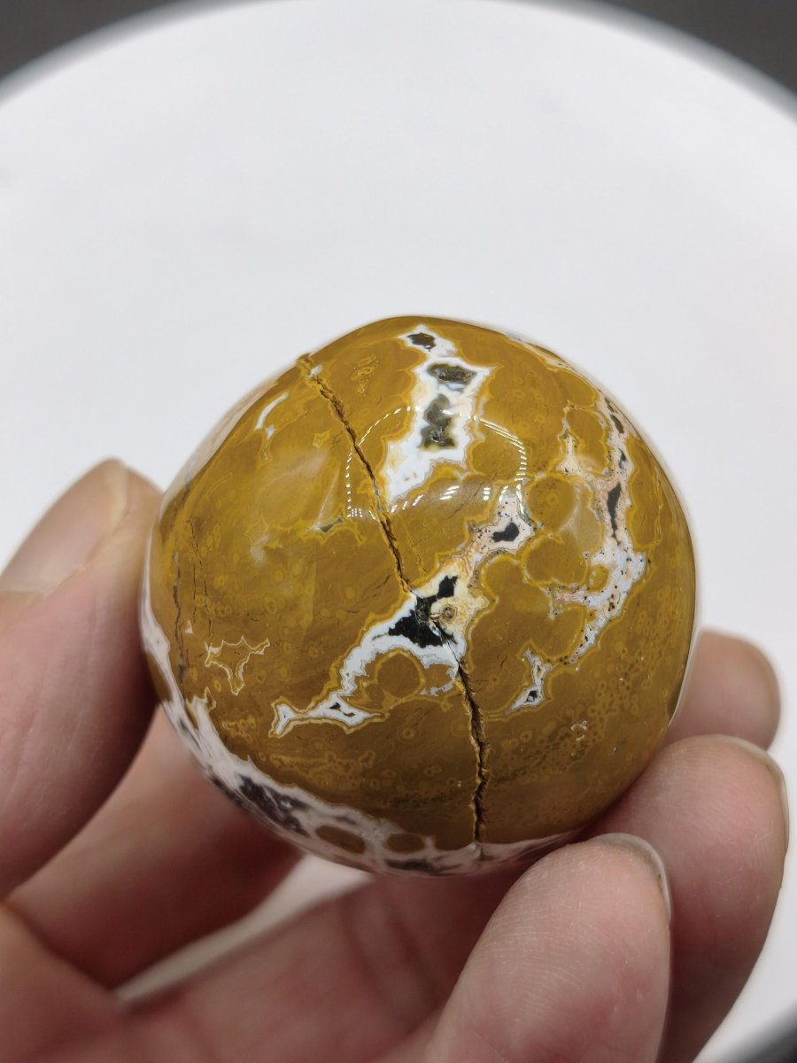 8 Adern Ocean Jaspis Orbicular gelb weiß - Edelstein Ei Kugel Natur Heilstein Deko Crystal Geschenk Er Sie Mann Frau Haus Wohnen Selten - Art of Nature Berlin