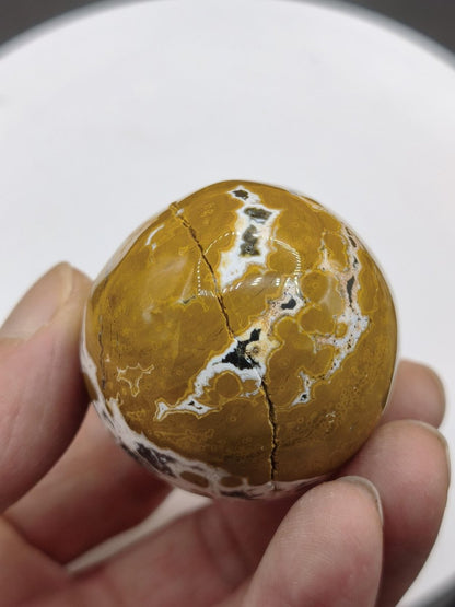 8 Adern Ocean Jaspis Orbicular gelb weiß - Edelstein Ei Kugel Natur Heilstein Deko Crystal Geschenk Er Sie Mann Frau Haus Wohnen Selten - Art of Nature Berlin