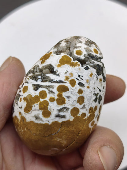 8 Adern Ocean Jaspis Orbicular gelb weiß - Edelstein Ei Kugel Natur Heilstein Deko Crystal Geschenk Er Sie Mann Frau Haus Wohnen Selten - Art of Nature Berlin