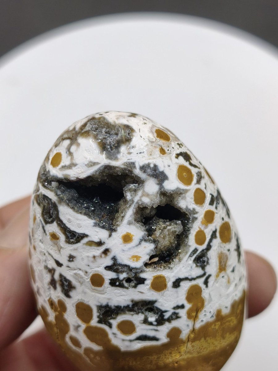 8 Adern Ocean Jaspis Orbicular gelb weiß - Edelstein Ei Kugel Natur Heilstein Deko Crystal Geschenk Er Sie Mann Frau Haus Wohnen Selten - Art of Nature Berlin