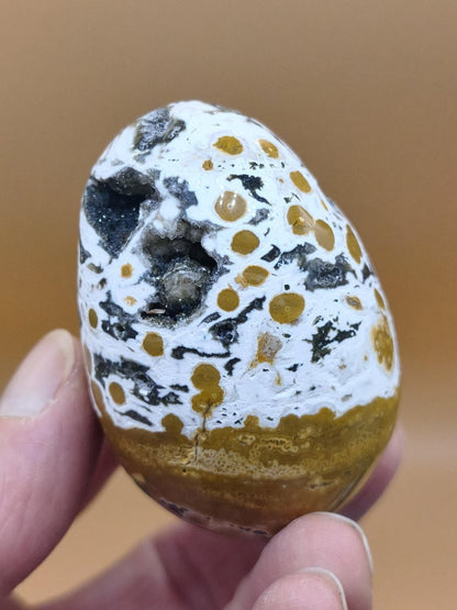 8 Adern Ocean Jaspis Orbicular gelb weiß - Edelstein Ei Kugel Natur Heilstein Deko Crystal Geschenk Er Sie Mann Frau Haus Wohnen Selten - Art of Nature Berlin