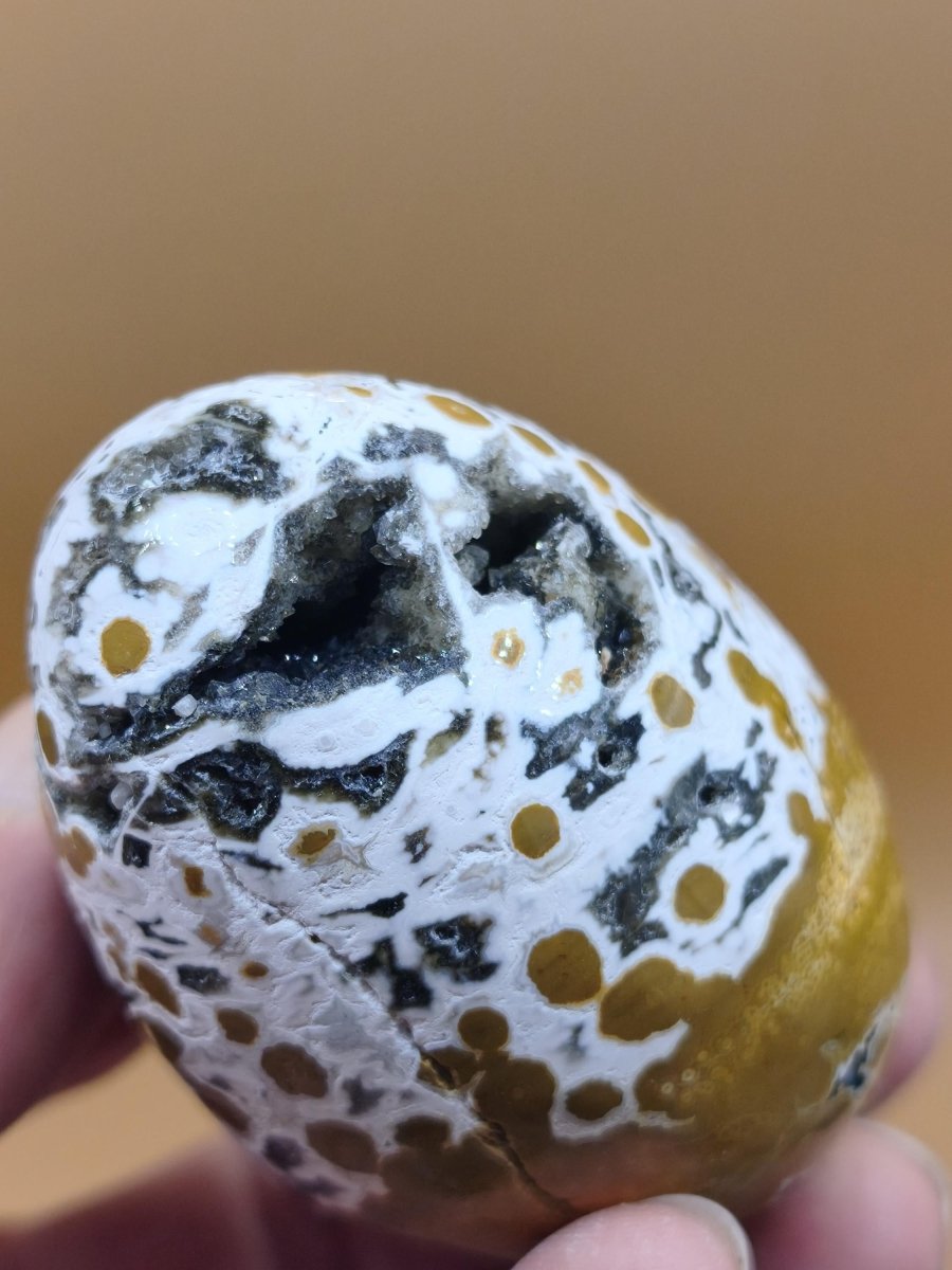 8 Adern Ocean Jaspis Orbicular gelb weiß - Edelstein Ei Kugel Natur Heilstein Deko Crystal Geschenk Er Sie Mann Frau Haus Wohnen Selten - Art of Nature Berlin