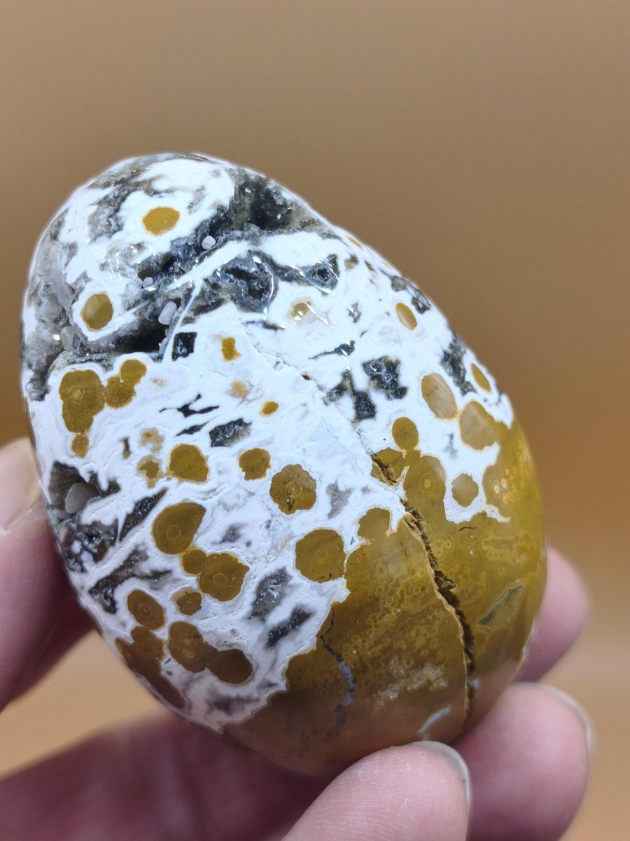 8 Adern Ocean Jaspis Orbicular gelb weiß - Edelstein Ei Kugel Natur Heilstein Deko Crystal Geschenk Er Sie Mann Frau Haus Wohnen Selten - Art of Nature Berlin