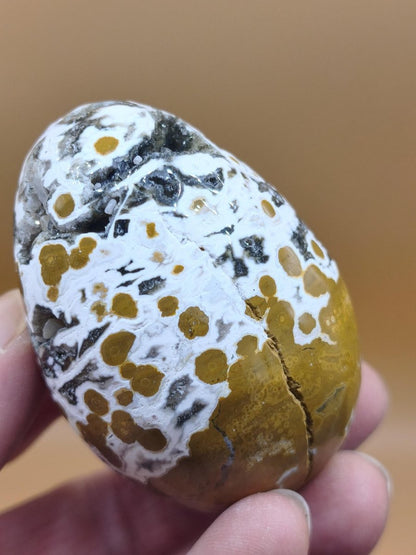 8 Adern Ocean Jaspis Orbicular gelb weiß - Edelstein Ei Kugel Natur Heilstein Deko Crystal Geschenk Er Sie Mann Frau Haus Wohnen Selten - Art of Nature Berlin