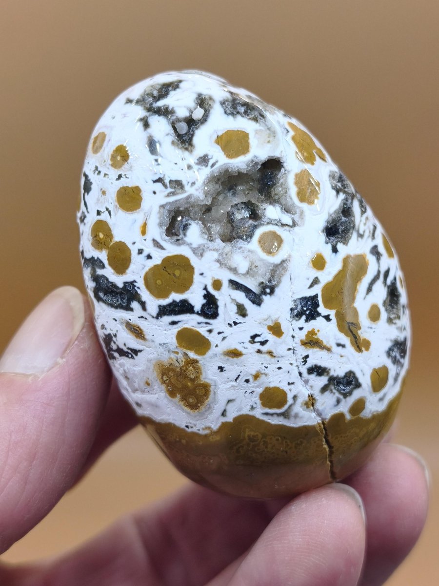 8 Adern Ocean Jaspis Orbicular gelb weiß - Edelstein Ei Kugel Natur Heilstein Deko Crystal Geschenk Er Sie Mann Frau Haus Wohnen Selten - Art of Nature Berlin