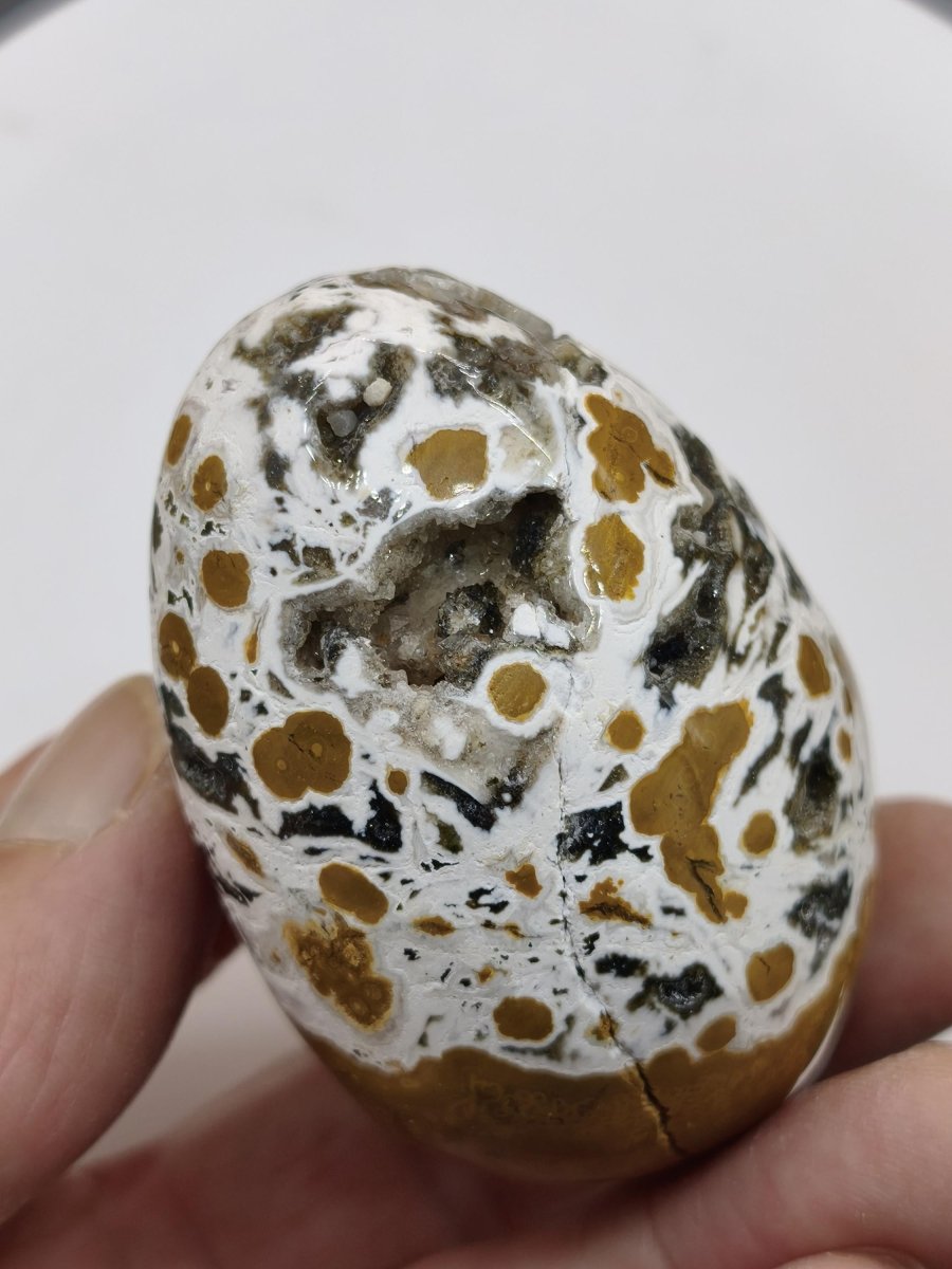 8 Adern Ocean Jaspis Orbicular gelb weiß - Edelstein Ei Kugel Natur Heilstein Deko Crystal Geschenk Er Sie Mann Frau Haus Wohnen Selten - Art of Nature Berlin