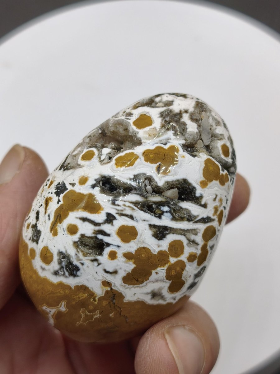 8 Adern Ocean Jaspis Orbicular gelb weiß - Edelstein Ei Kugel Natur Heilstein Deko Crystal Geschenk Er Sie Mann Frau Haus Wohnen Selten - Art of Nature Berlin