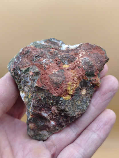 8 Adern Ocean Jaspis Orbicular + Geode roh Stufe XL Stein Rarität Natur Heilstein Deko Kristall Geschenk Er Sie Mann Frau Selten Sammler - Art of Nature Berlin