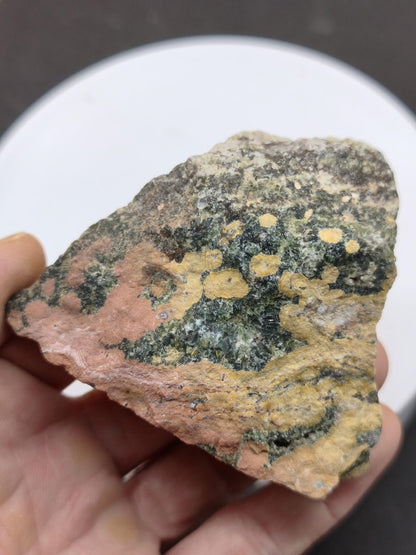 8 Adern Ocean Jaspis Orbicular + Geode roh Stufe XL Stein Rarität Natur Heilstein Deko Kristall Geschenk Er Sie Mann Frau Selten Sammler - Art of Nature Berlin