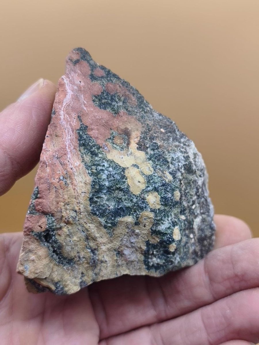 8 Adern Ocean Jaspis Orbicular + Geode roh Stufe XL Stein Rarität Natur Heilstein Deko Kristall Geschenk Er Sie Mann Frau Selten Sammler - Art of Nature Berlin