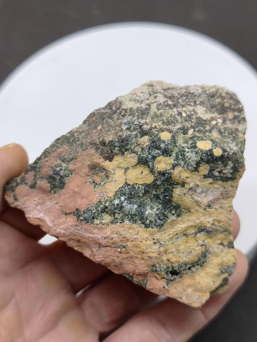 8 Adern Ocean Jaspis Orbicular + Geode roh Stufe XL Stein Rarität Natur Heilstein Deko Kristall Geschenk Er Sie Mann Frau Selten Sammler - Art of Nature Berlin