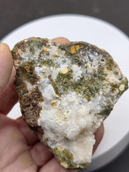 8 Adern Ocean Jaspis Orbicular + Geode roh Stufe XL Stein Rarität Natur Heilstein Deko Kristall Geschenk Er Sie Mann Frau Selten Sammler - Art of Nature Berlin