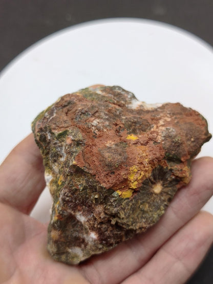 8 Adern Ocean Jaspis Orbicular + Geode roh Stufe XL Stein Rarität Natur Heilstein Deko Kristall Geschenk Er Sie Mann Frau Selten Sammler - Art of Nature Berlin