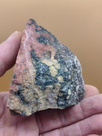 8 Adern Ocean Jaspis Orbicular + Geode roh Stufe XL Stein Rarität Natur Heilstein Deko Kristall Geschenk Er Sie Mann Frau Selten Sammler - Art of Nature Berlin