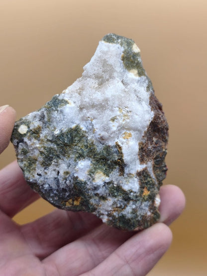 8 Adern Ocean Jaspis Orbicular + Geode roh Stufe XL Stein Rarität Natur Heilstein Deko Kristall Geschenk Er Sie Mann Frau Selten Sammler - Art of Nature Berlin