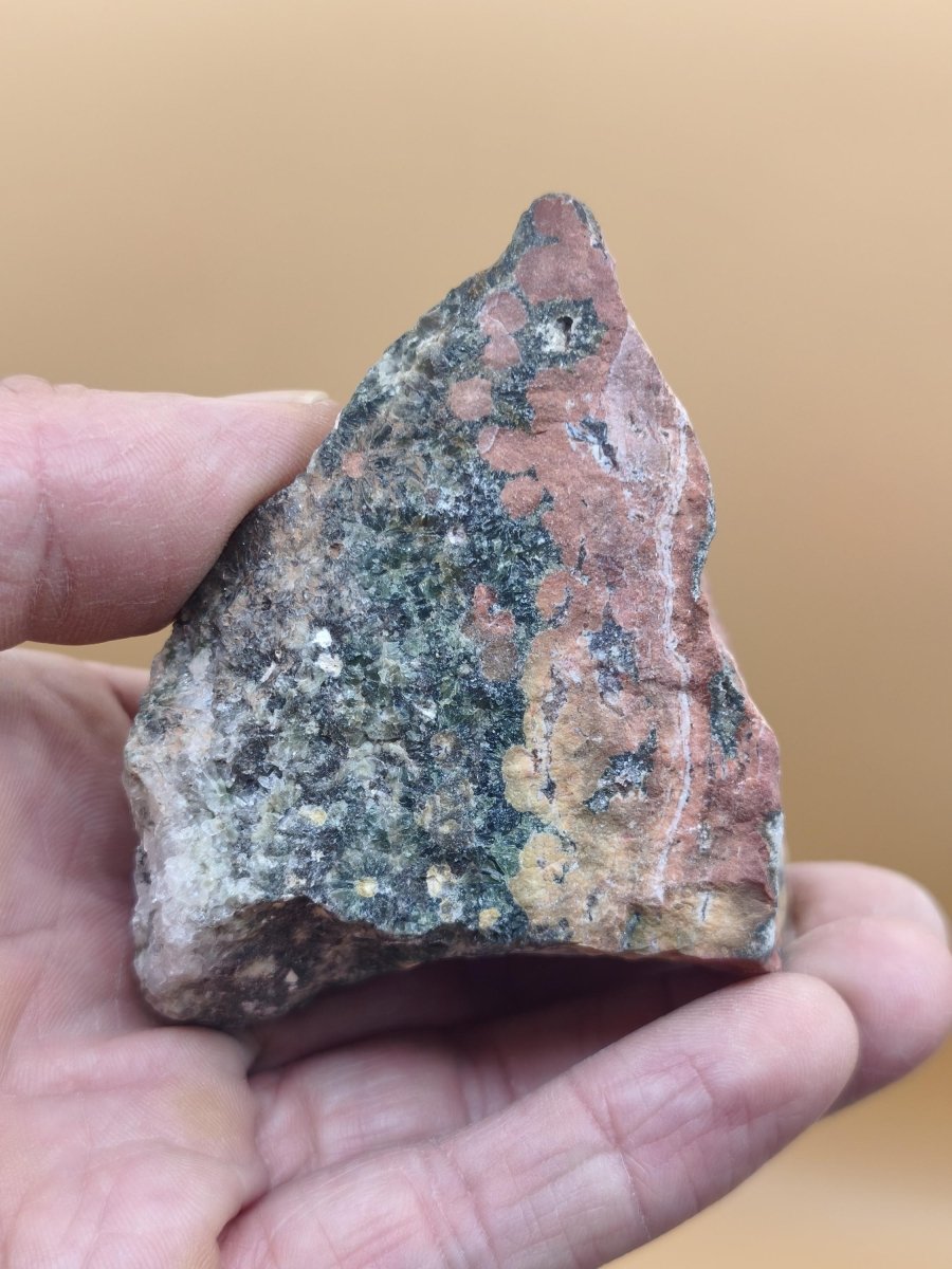 8 Adern Ocean Jaspis Orbicular + Geode roh Stufe XL Stein Rarität Natur Heilstein Deko Kristall Geschenk Er Sie Mann Frau Selten Sammler - Art of Nature Berlin