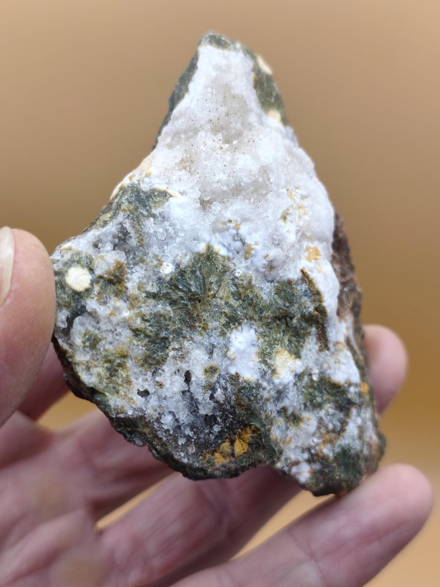 8 Adern Ocean Jaspis Orbicular + Geode roh Stufe XL Stein Rarität Natur Heilstein Deko Kristall Geschenk Er Sie Mann Frau Selten Sammler - Art of Nature Berlin