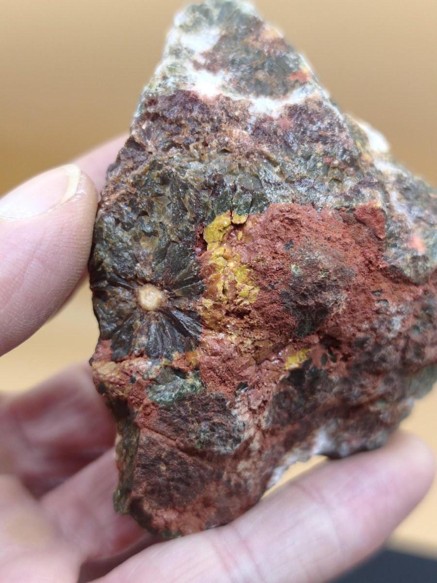 8 Adern Ocean Jaspis Orbicular + Geode roh Stufe XL Stein Rarität Natur Heilstein Deko Kristall Geschenk Er Sie Mann Frau Selten Sammler - Art of Nature Berlin