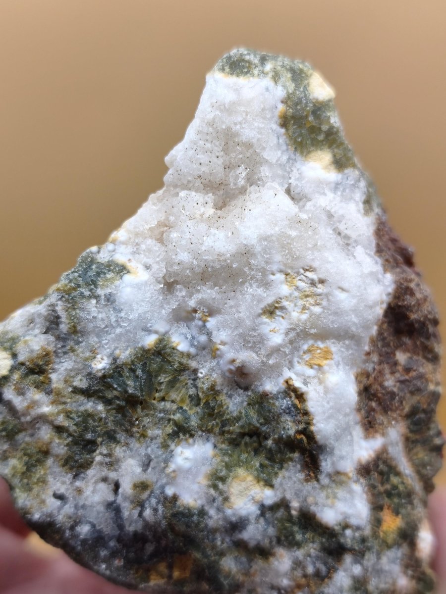 8 Adern Ocean Jaspis Orbicular + Geode roh Stufe XL Stein Rarität Natur Heilstein Deko Kristall Geschenk Er Sie Mann Frau Selten Sammler - Art of Nature Berlin