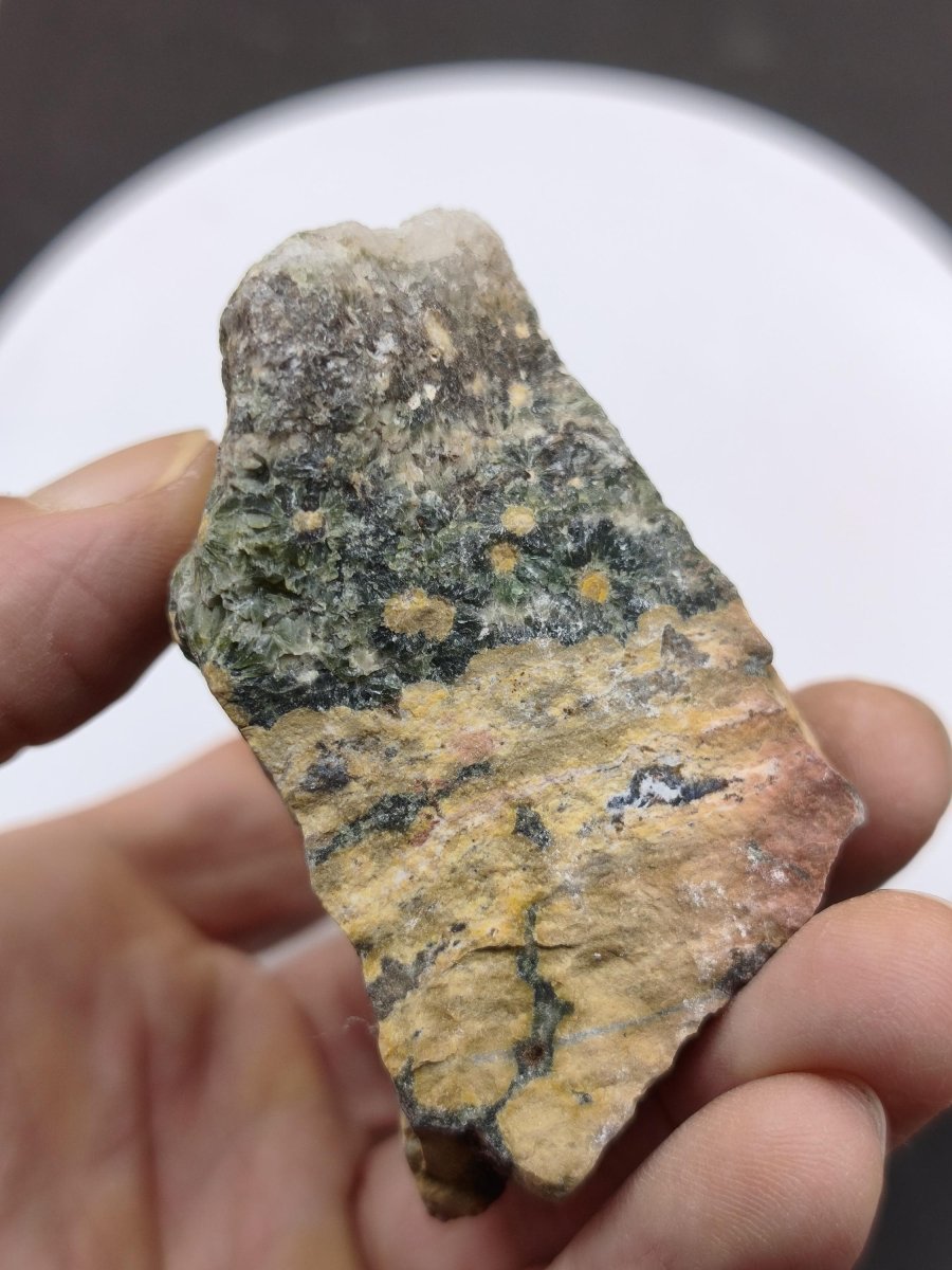 8 Adern Ocean Jaspis Orbicular + Geode roh Stufe XL Stein Rarität Natur Heilstein Deko Kristall Geschenk Er Sie Mann Frau Selten Sammler - Art of Nature Berlin