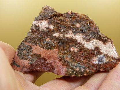 8 Adern Ocean Jaspis Orbicular + Geode roh Stufe XL Stein Rarität Natur Heilstein Deko Kristall Geschenk Er Sie Mann Frau Selten Sammler - Art of Nature Berlin