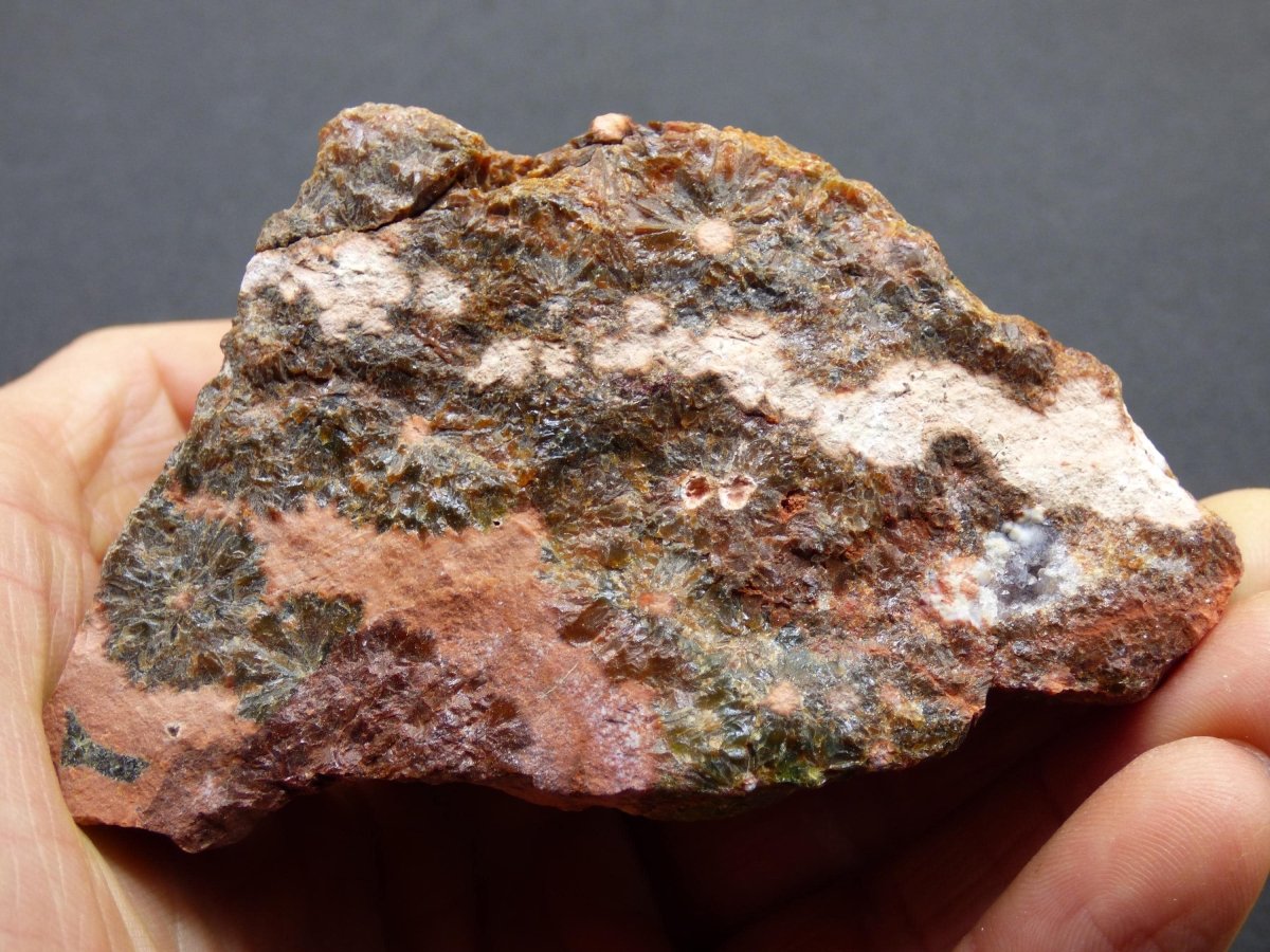 8 Adern Ocean Jaspis Orbicular + Geode roh Stufe XL Stein Rarität Natur Heilstein Deko Kristall Geschenk Er Sie Mann Frau Selten Sammler - Art of Nature Berlin