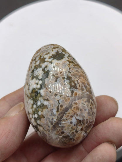 8 Adern Ocean Jaspis Orbicular grün beige Edelstein Ei Kugel Natur Heilstein Deko Crystal Geschenk Er Sie Mann Frau Haus Wohnen Selten - Art of Nature Berlin