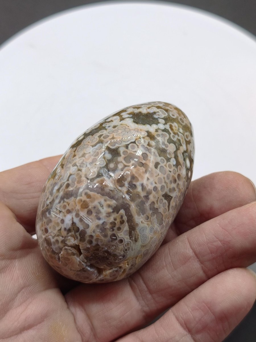 8 Adern Ocean Jaspis Orbicular grün beige Edelstein Ei Kugel Natur Heilstein Deko Crystal Geschenk Er Sie Mann Frau Haus Wohnen Selten - Art of Nature Berlin