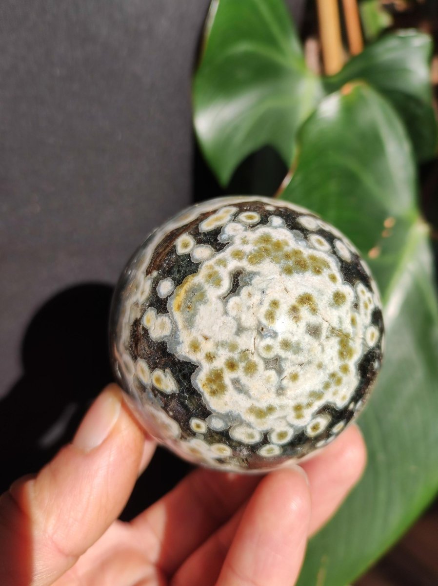 8 Adern Ocean Jaspis Orbicular grün - Edelstein Kugel Natur Heilstein Deko Kristall Geschenk Er Sie Mann Frau Haus Wohnung Energie Selten - Art of Nature Berlin