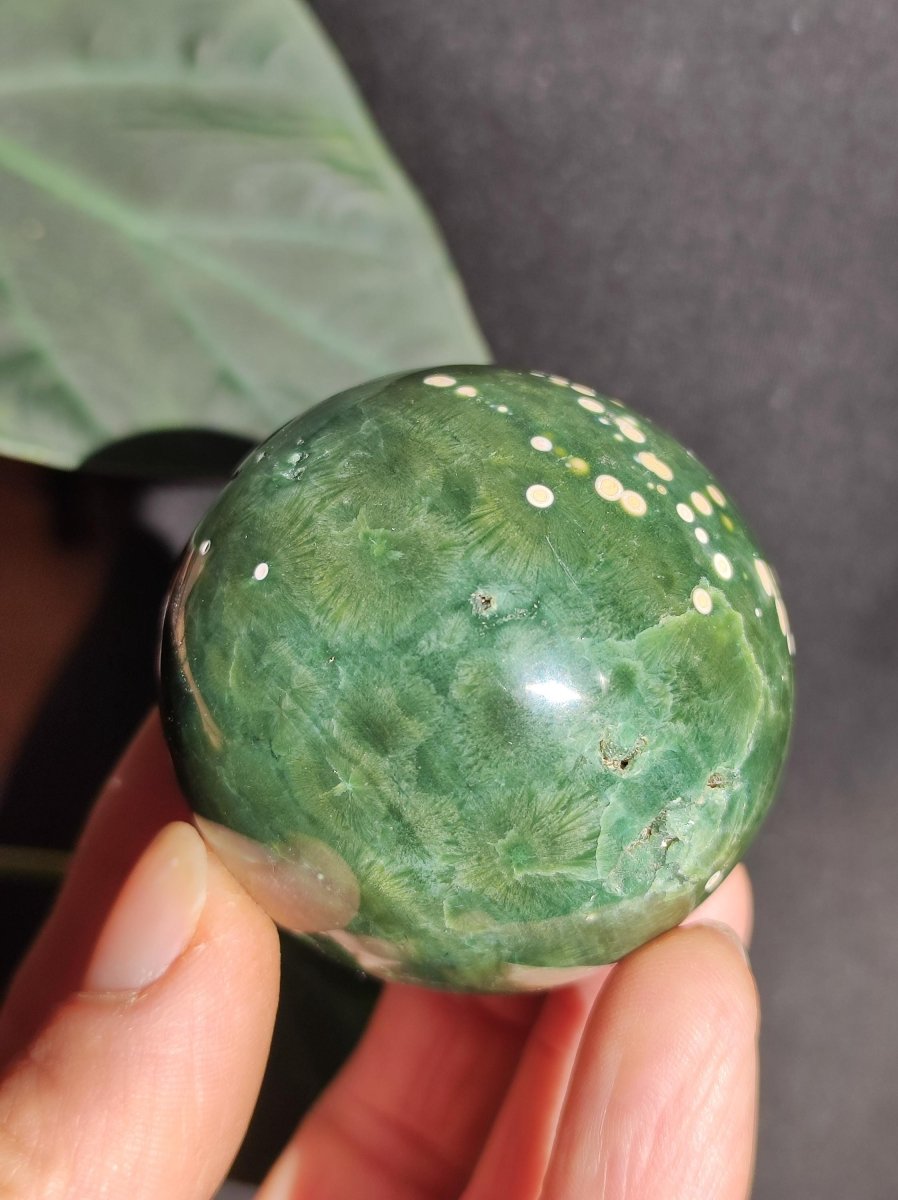 8 Adern Ocean Jaspis Orbicular grün - Edelstein Kugel Natur Heilstein Deko Kristall Geschenk Er Sie Mann Frau Haus Wohnung Energie Selten - Art of Nature Berlin