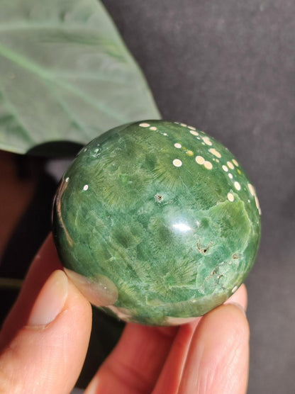 8 Adern Ocean Jaspis Orbicular grün - Edelstein Kugel Natur Heilstein Deko Kristall Geschenk Er Sie Mann Frau Haus Wohnung Energie Selten - Art of Nature Berlin