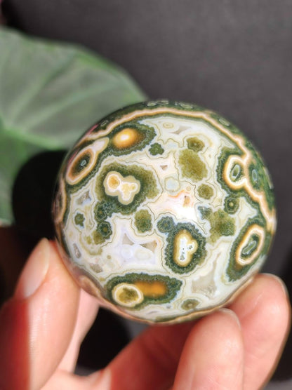 8 Adern Ocean Jaspis Orbicular grün - Edelstein Kugel Rarität Natur Heilstein Deko Kristall Geschenk Er Sie Mann Frau Haus Energie Selten - Art of Nature Berlin