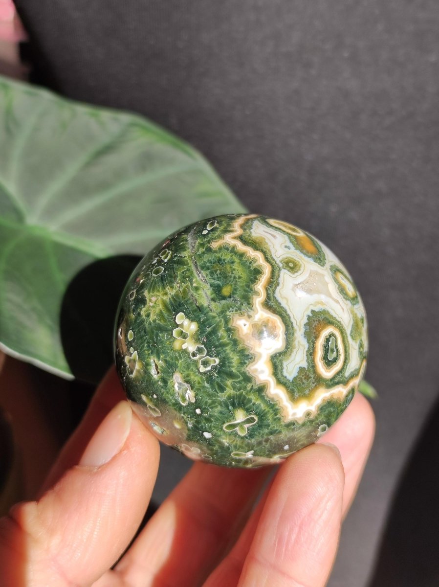 8 Adern Ocean Jaspis Orbicular grün - Edelstein Kugel Rarität Natur Heilstein Deko Kristall Geschenk Er Sie Mann Frau Haus Energie Selten - Art of Nature Berlin