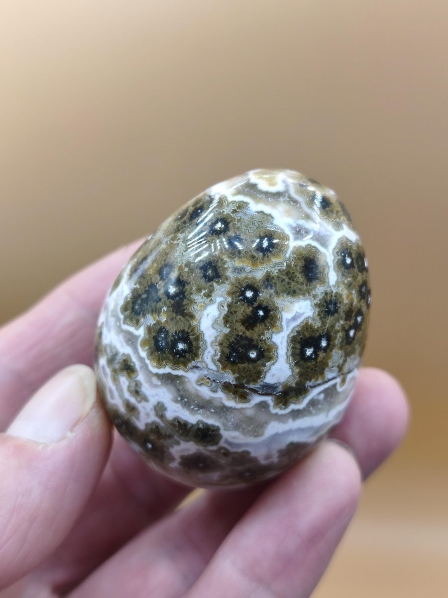 8 Adern Ocean Jaspis Orbicular grünbraun weiß - Edelstein Ei Kugel Natur Heilstein Deko Crystal Geschenk Er Sie Mann Frau Haus Wohnen Selten - Art of Nature Berlin