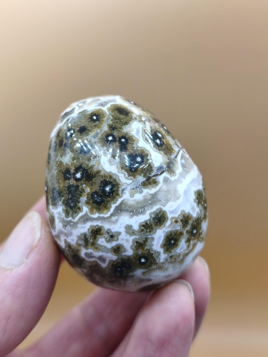8 Adern Ocean Jaspis Orbicular grünbraun weiß - Edelstein Ei Kugel Natur Heilstein Deko Crystal Geschenk Er Sie Mann Frau Haus Wohnen Selten - Art of Nature Berlin