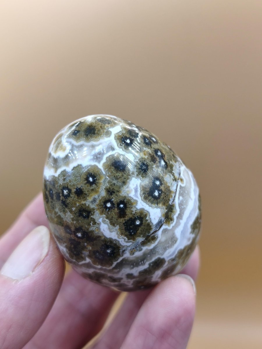 8 Adern Ocean Jaspis Orbicular grünbraun weiß - Edelstein Ei Kugel Natur Heilstein Deko Crystal Geschenk Er Sie Mann Frau Haus Wohnen Selten - Art of Nature Berlin