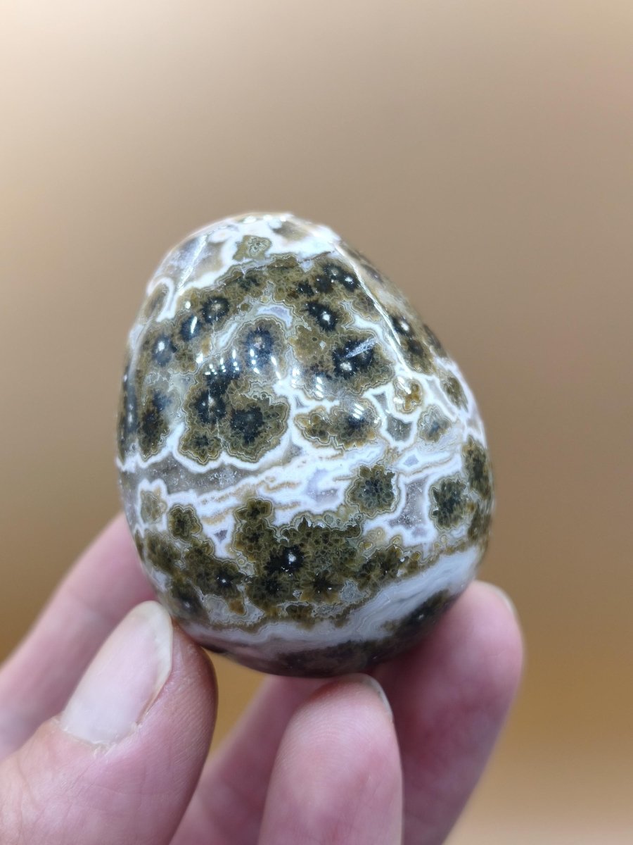 8 Adern Ocean Jaspis Orbicular grünbraun weiß - Edelstein Ei Kugel Natur Heilstein Deko Crystal Geschenk Er Sie Mann Frau Haus Wohnen Selten - Art of Nature Berlin