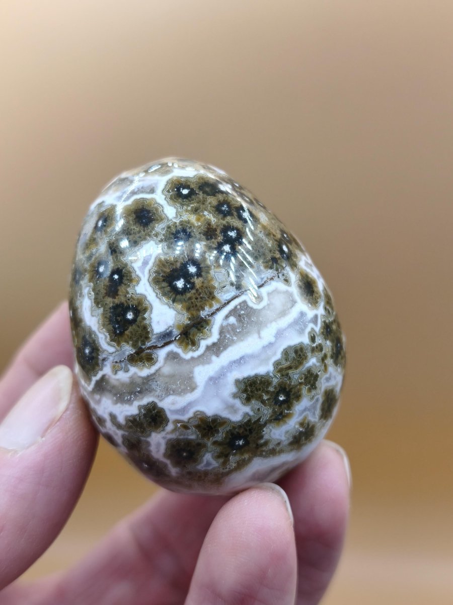 8 Adern Ocean Jaspis Orbicular grünbraun weiß - Edelstein Ei Kugel Natur Heilstein Deko Crystal Geschenk Er Sie Mann Frau Haus Wohnen Selten - Art of Nature Berlin