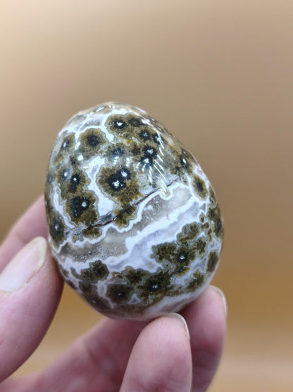 8 Adern Ocean Jaspis Orbicular grünbraun weiß - Edelstein Ei Kugel Natur Heilstein Deko Crystal Geschenk Er Sie Mann Frau Haus Wohnen Selten - Art of Nature Berlin