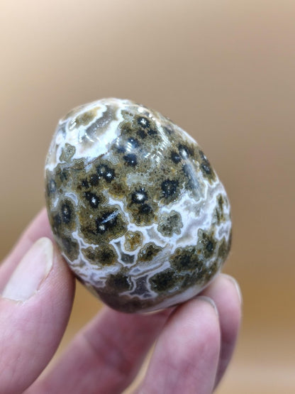 8 Adern Ocean Jaspis Orbicular grünbraun weiß - Edelstein Ei Kugel Natur Heilstein Deko Crystal Geschenk Er Sie Mann Frau Haus Wohnen Selten - Art of Nature Berlin