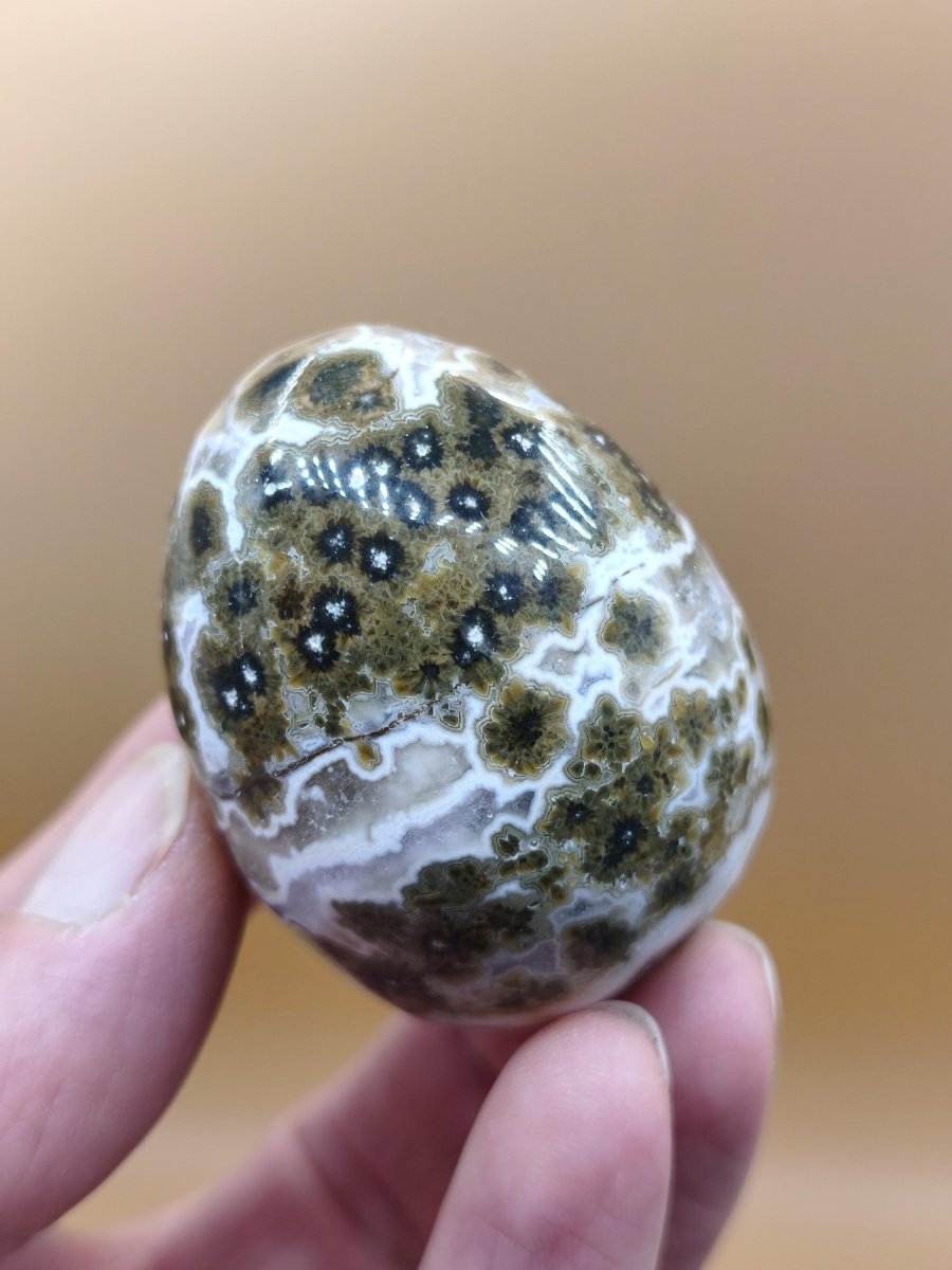 8 Adern Ocean Jaspis Orbicular grünbraun weiß - Edelstein Ei Kugel Natur Heilstein Deko Crystal Geschenk Er Sie Mann Frau Haus Wohnen Selten - Art of Nature Berlin