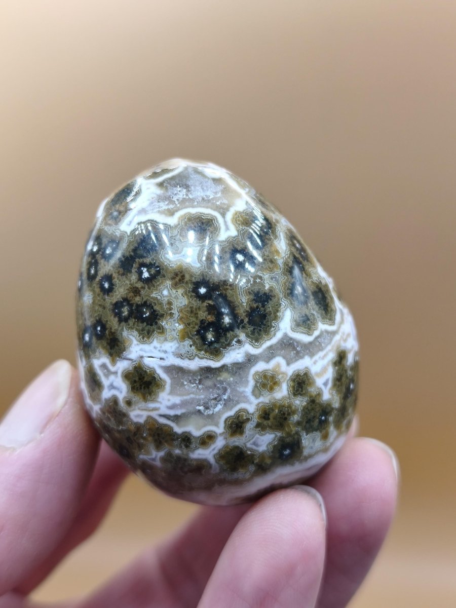 8 Adern Ocean Jaspis Orbicular grünbraun weiß - Edelstein Ei Kugel Natur Heilstein Deko Crystal Geschenk Er Sie Mann Frau Haus Wohnen Selten - Art of Nature Berlin