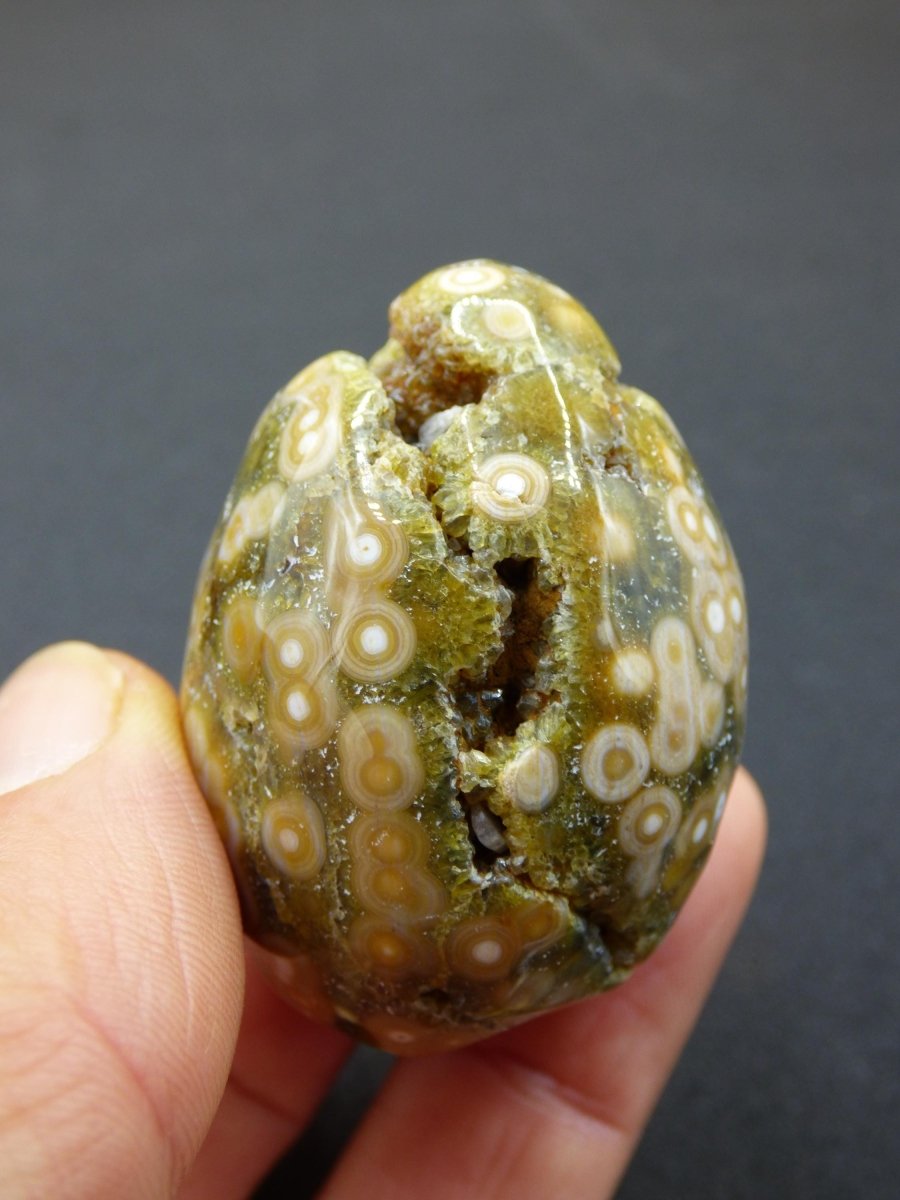 8 Adern Ocean Jaspis Orbicular grün - Edelstein Ei Kugel Natur Heilstein Deko Kristall Geschenk Er Sie Mann Frau Haus Wohnung Energie Selten - Art of Nature Berlin