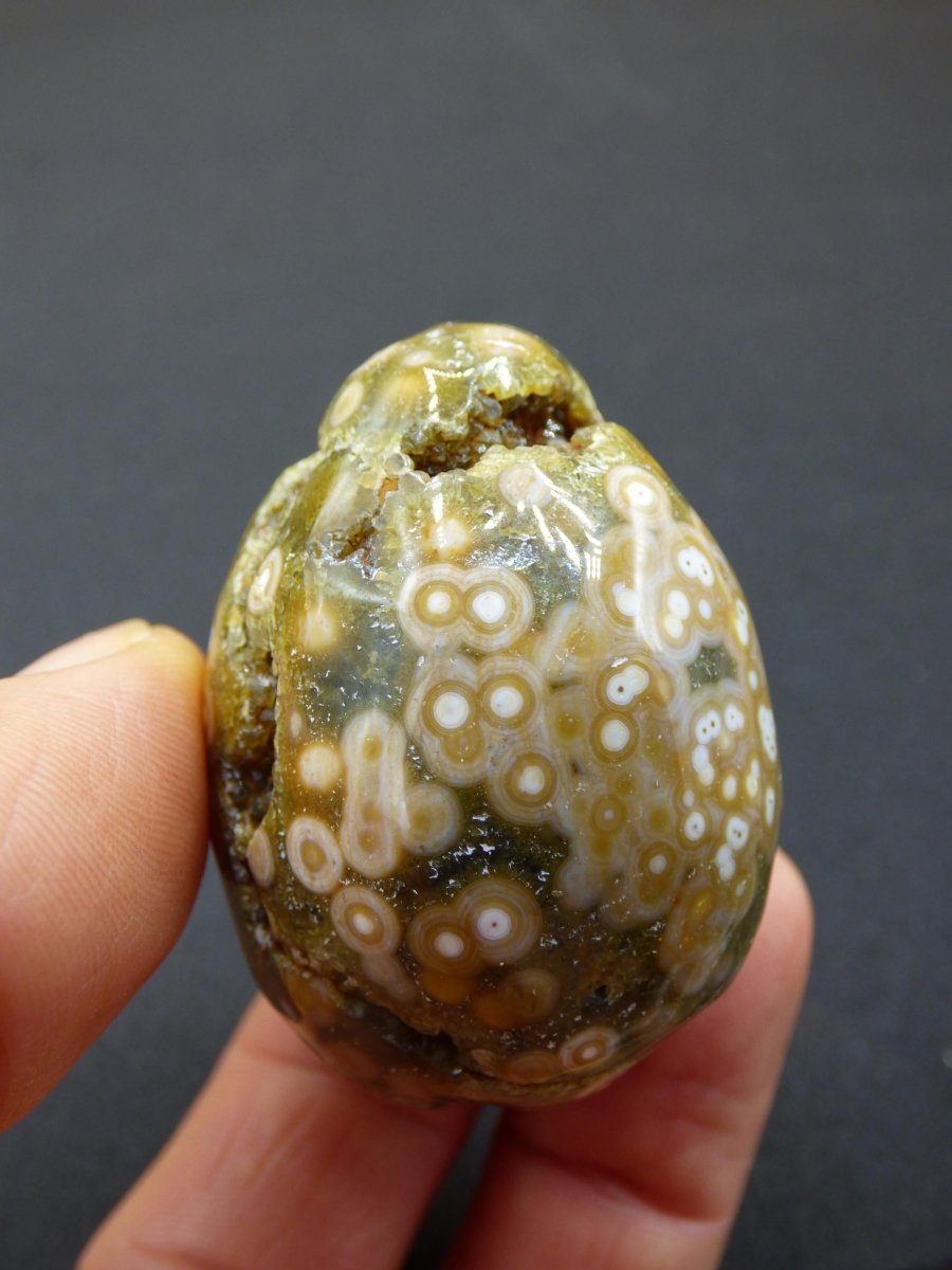 8 Adern Ocean Jaspis Orbicular grün - Edelstein Ei Kugel Natur Heilstein Deko Kristall Geschenk Er Sie Mann Frau Haus Wohnung Energie Selten - Art of Nature Berlin