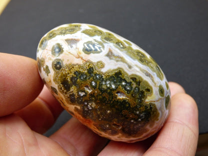 8 Adern Ocean Jaspis Orbicular grün gelb weiß - Edelstein Ei Kugel Natur Heilstein Deko Crystal Geschenk Er Sie Mann Frau Haus Wohnen Selten - Art of Nature Berlin